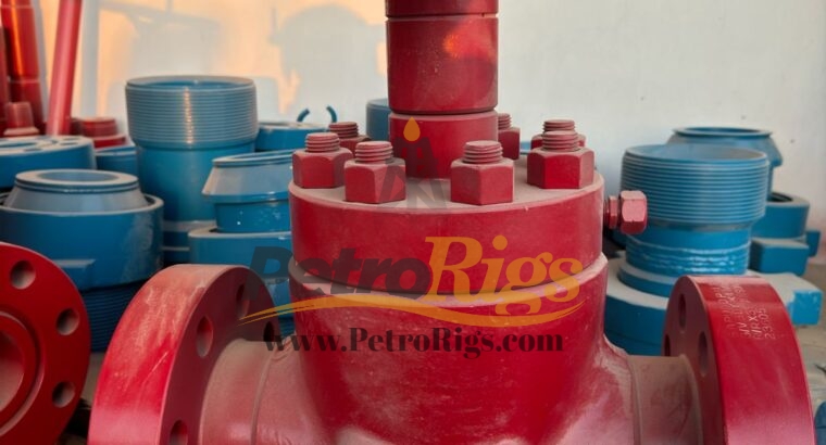 Anson 4 1/16 Inch Gate Valves