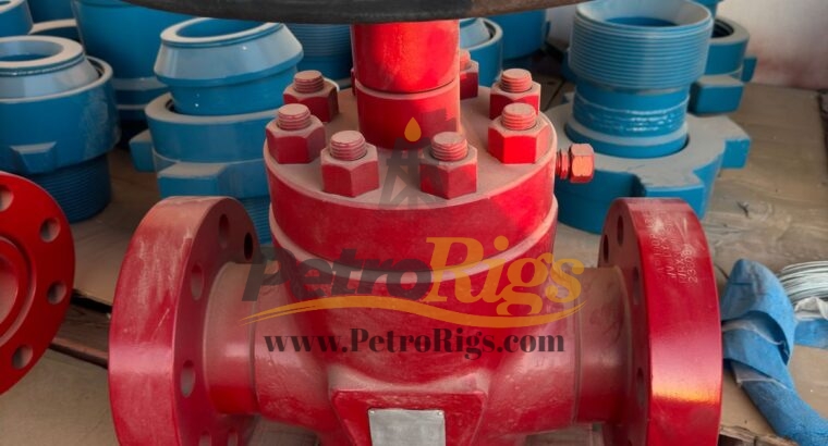 Anson 4 1/16 Inch Gate Valves