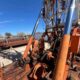 Cardwell Workover Rig